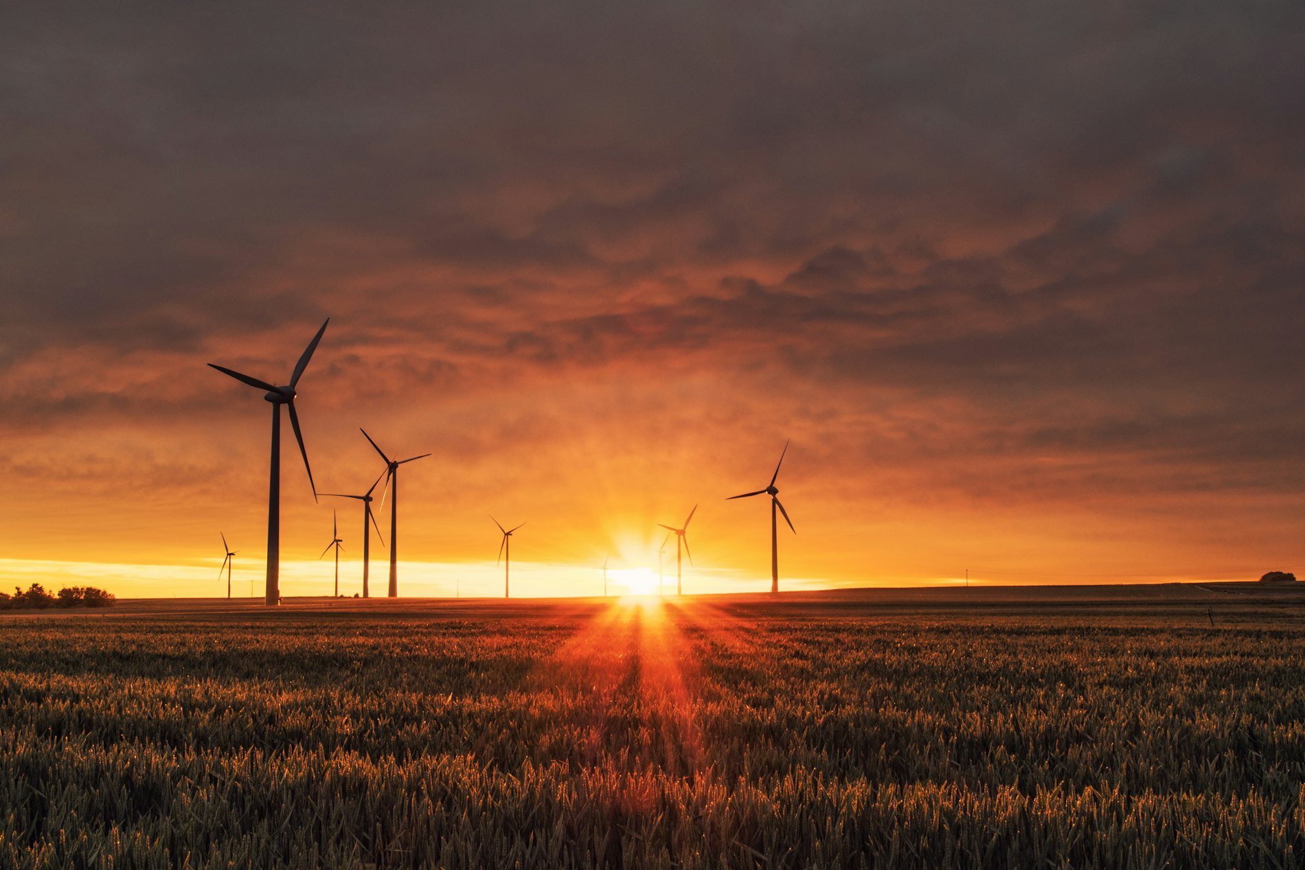 Wind turbines standing in open farmland at dusk